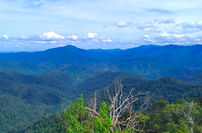 2 Vườn quốc gia và Khu bảo tồn thiên nhiên được công nhận Công viên Di sản Asean