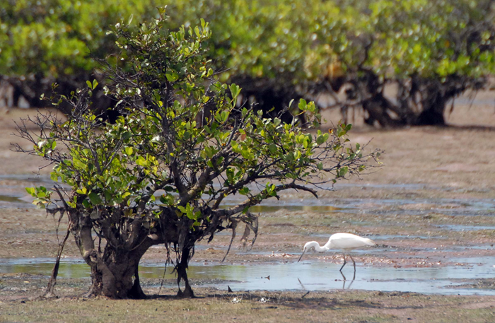 2 Vườn quốc gia và Khu bảo tồn thiên nhiên được công nhận Công viên Di sản Asean