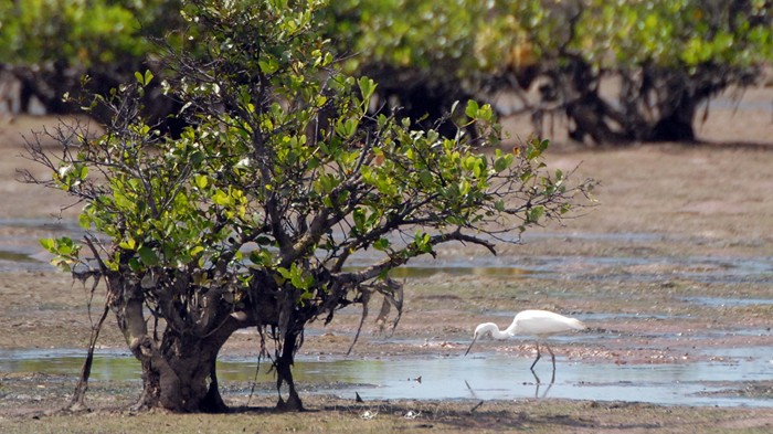 2 Vườn quốc gia và Khu bảo tồn thiên nhiên được công nhận Công viên Di sản Asean