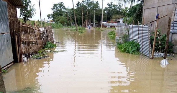 Ứng phó lũ, bảo đảm an toàn đê điều