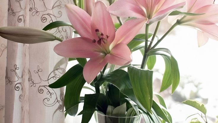 Tử vi vòng quay công nghệ ngày 13/9/2025: Tuổi Hợi khởi sắc, tuổi Mão sa sút Tử vi vòng quay công nghệ ngày 13/9/2025: Tuổi Hợi khởi sắc, tuổi Mão sa sút