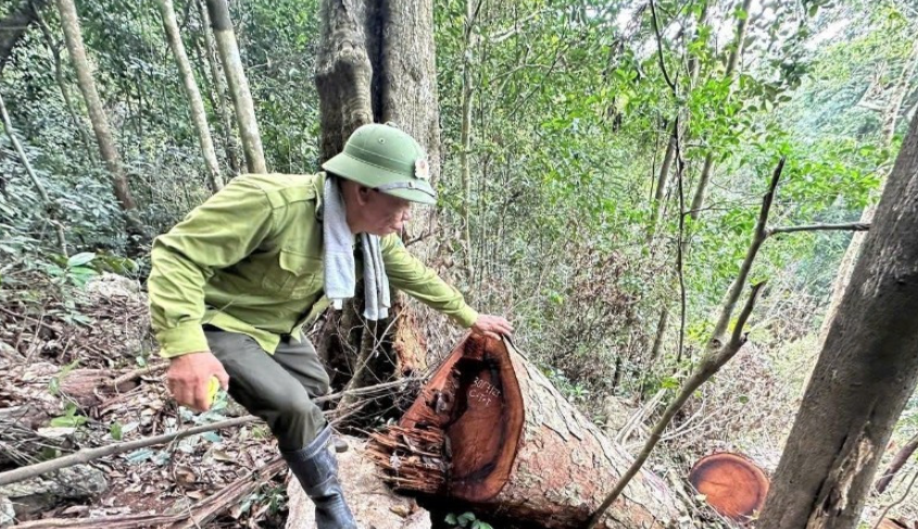 Thái Nguyên: Siết chặt quản lý, bảo vệ rừng tại Vườn quốc gia Ba Bể