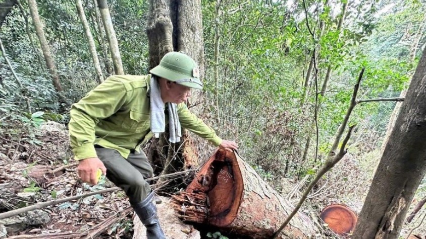 Thái Nguyên: Siết chặt quản lý, bảo vệ rừng tại Vườn quốc gia Ba Bể