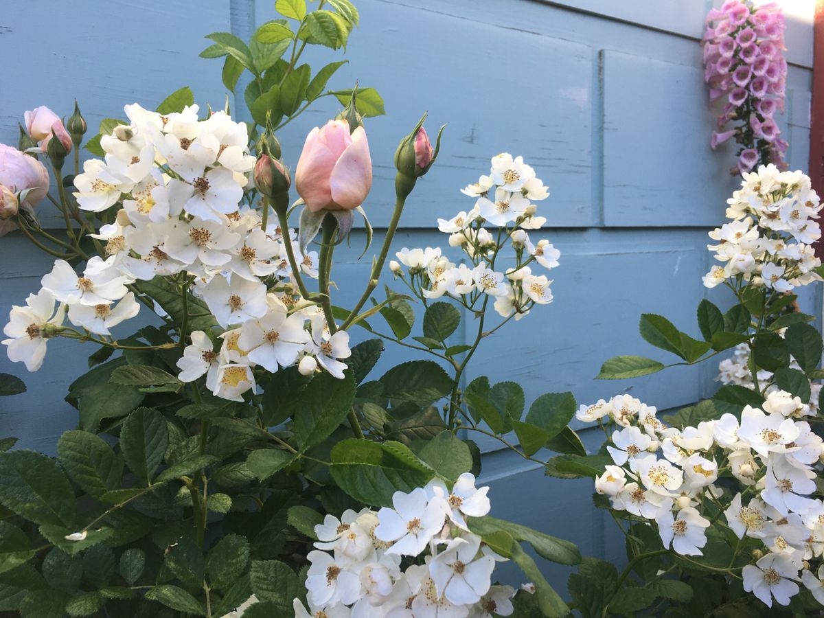 Tử vi vòng quay công nghệ ngày 18/9/2025: Tuổi Dần khởi sắc rực rỡ, tuổi Tỵ nhiều khúc mắc Tử vi vòng quay công nghệ ngày 18/9/2025: Tuổi Dần khởi sắc rực rỡ, tuổi Tỵ nhiều khúc mắc