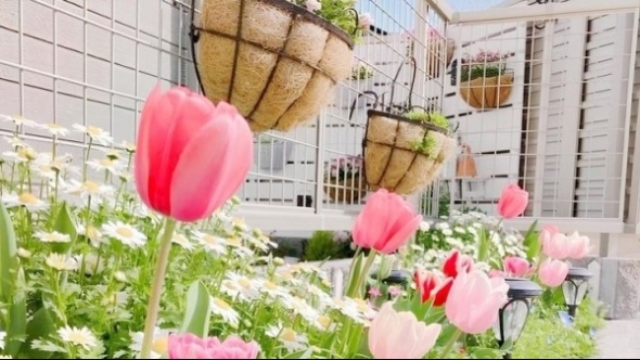 Tử vi vòng quay công nghệ ngày 18/9/2025: Tuổi Dần khởi sắc rực rỡ, tuổi Tỵ nhiều khúc mắc