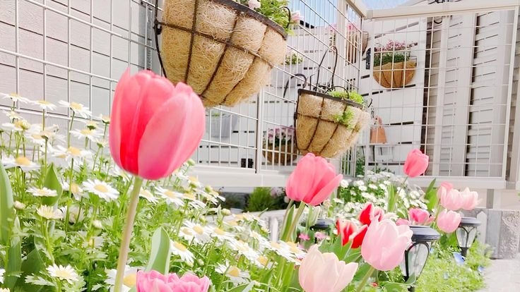 Tử vi vòng quay công nghệ ngày 18/9/2025: Tuổi Dần khởi sắc rực rỡ, tuổi Tỵ nhiều khúc mắc Tử vi vòng quay công nghệ ngày 18/9/2025: Tuổi Dần khởi sắc rực rỡ, tuổi Tỵ nhiều khúc mắc