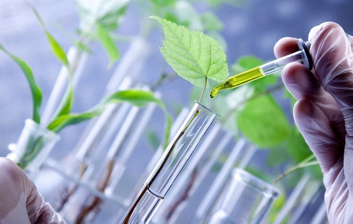 Chính sách dành cho chuyên gia về khoa học công nghệ, đổi mới sáng tạo Chính sách dành cho chuyên gia về khoa học công nghệ, đổi mới sáng tạo