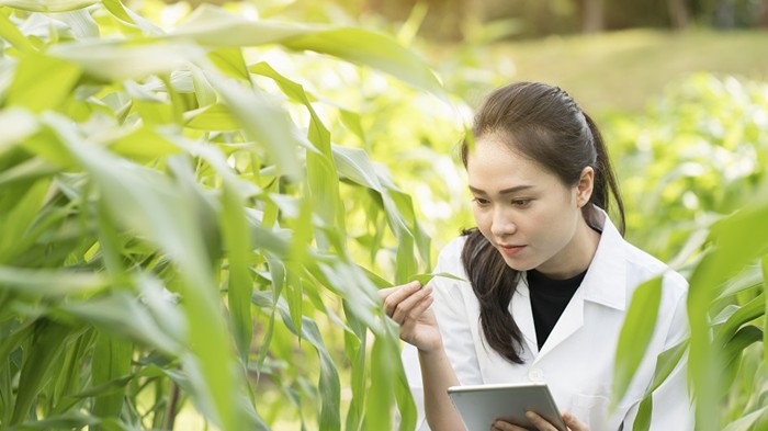 Chính sách dành cho chuyên gia về khoa học công nghệ, đổi mới sáng tạo