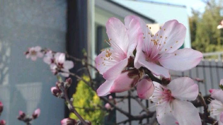 Tử vi vòng quay công nghệ ngày 22/9/2025: Tuổi Dần kém may mắn, tuổi Sửu công việc rất tốt Tử vi vòng quay công nghệ ngày 22/9/2025: Tuổi Dần kém may mắn, tuổi Sửu công việc rất tốt