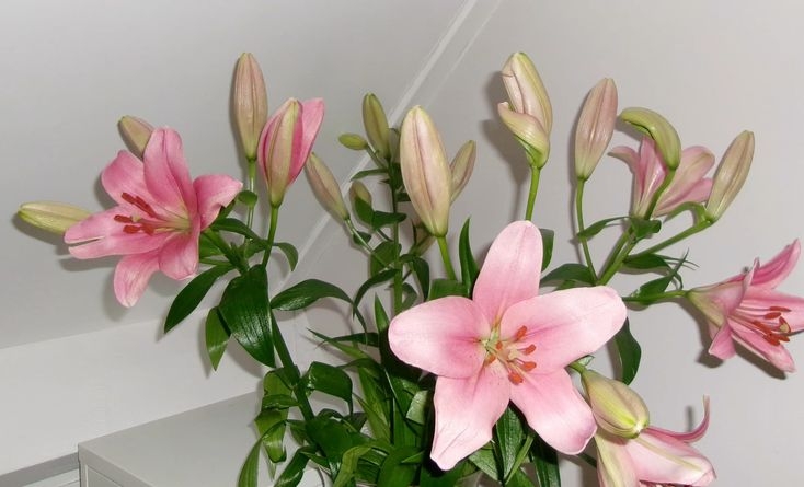 Tử vi vòng quay công nghệ ngày 22/9/2025: Tuổi Dần kém may mắn, tuổi Sửu công việc rất tốt Tử vi vòng quay công nghệ ngày 22/9/2025: Tuổi Dần kém may mắn, tuổi Sửu công việc rất tốt