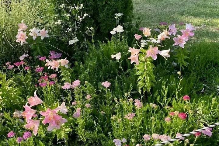 Tử vi vòng quay công nghệ ngày 22/9/2025: Tuổi Dần kém may mắn, tuổi Sửu công việc rất tốt Tử vi vòng quay công nghệ ngày 22/9/2025: Tuổi Dần kém may mắn, tuổi Sửu công việc rất tốt