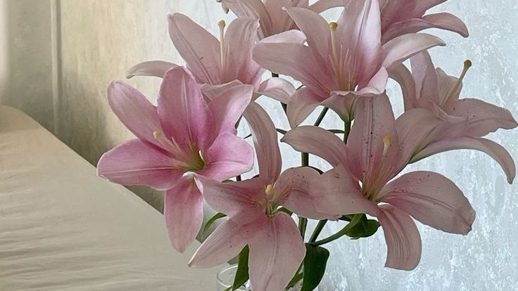 Tử vi vòng quay công nghệ ngày 25/9/2025: Tuổi Sửu gặp nhiều trở ngại, Tuổi Mùi gặp may mắn Tử vi vòng quay công nghệ ngày 25/9/2025: Tuổi Sửu gặp nhiều trở ngại, Tuổi Mùi gặp may mắn