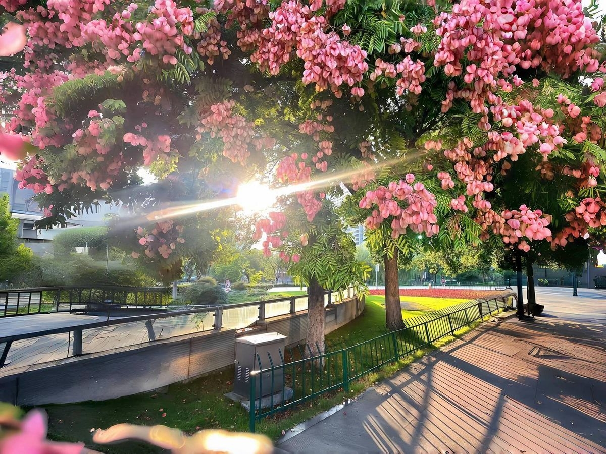 Tử vi vòng quay công nghệ ngày 26/9/2025: Tuổi Dậu sức khỏe giảm sút, tuổi Mão suôn sẻ