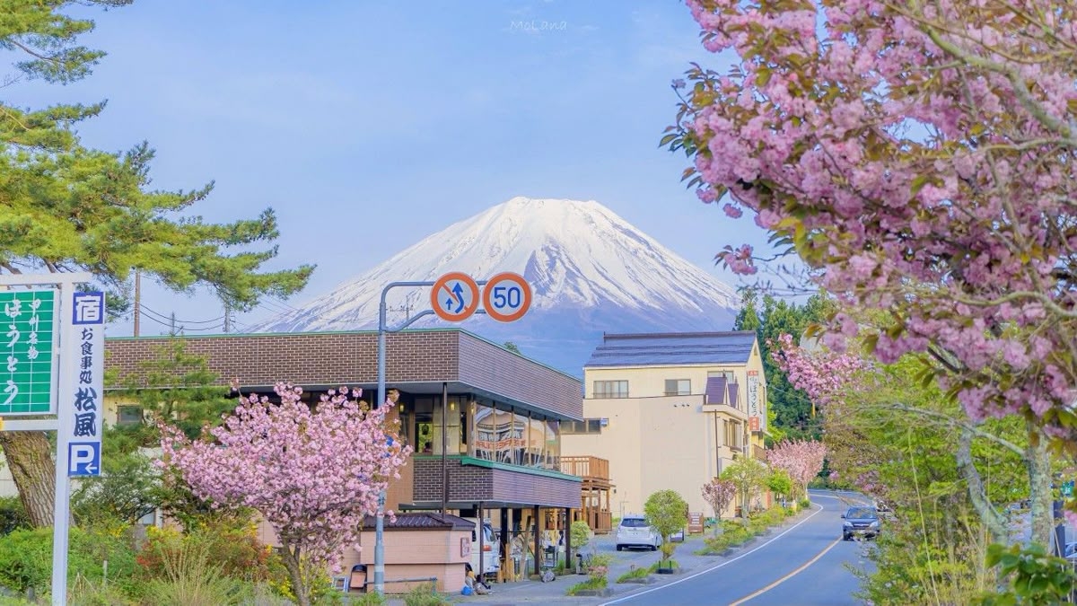 Tử vi vòng quay công nghệ ngày 26/9/2025: Tuổi Dậu sức khỏe giảm sút, tuổi Mão suôn sẻ