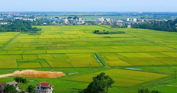 Kiện toàn Ban Chỉ đạo làm giàu, làm sạch cơ sở dữ liệu đất đai Kiện toàn Ban Chỉ đạo làm giàu, làm sạch cơ sở dữ liệu đất đai