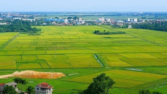 Kiện toàn Ban Chỉ đạo làm giàu, làm sạch cơ sở dữ liệu đất đai