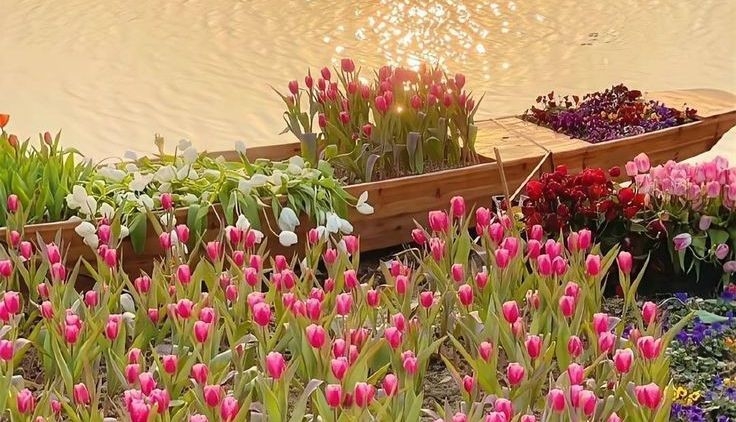 Tử vi vòng quay công nghệ ngày 27/9/2025: Tuổi Thân gặt hái thành công, tuổi Mão chưa thuận lợi Tử vi vòng quay công nghệ ngày 27/9/2025: Tuổi Thân gặt hái thành công, tuổi Mão chưa thuận lợi