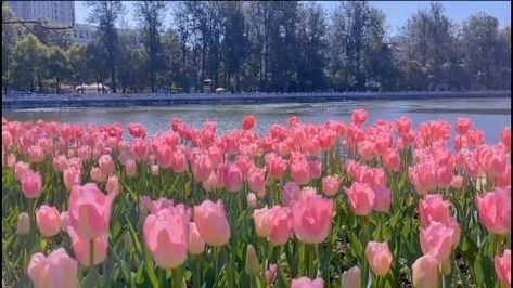 Tử vi vòng quay công nghệ ngày 27/9/2025: Tuổi Thân gặt hái thành công, tuổi Mão chưa thuận lợi Tử vi vòng quay công nghệ ngày 27/9/2025: Tuổi Thân gặt hái thành công, tuổi Mão chưa thuận lợi