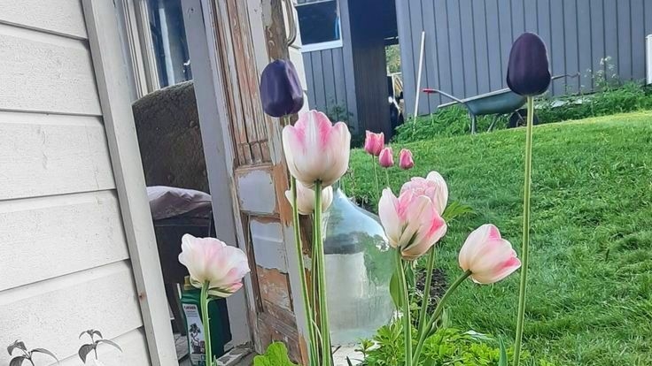 Tử vi vòng quay công nghệ ngày 28/9/2025: Tuổi Hợi công việc trì trệ, tuổi Ngọ sức khỏe khởi sắc Tử vi vòng quay công nghệ ngày 28/9/2025: Tuổi Hợi công việc trì trệ, tuổi Ngọ sức khỏe khởi sắc