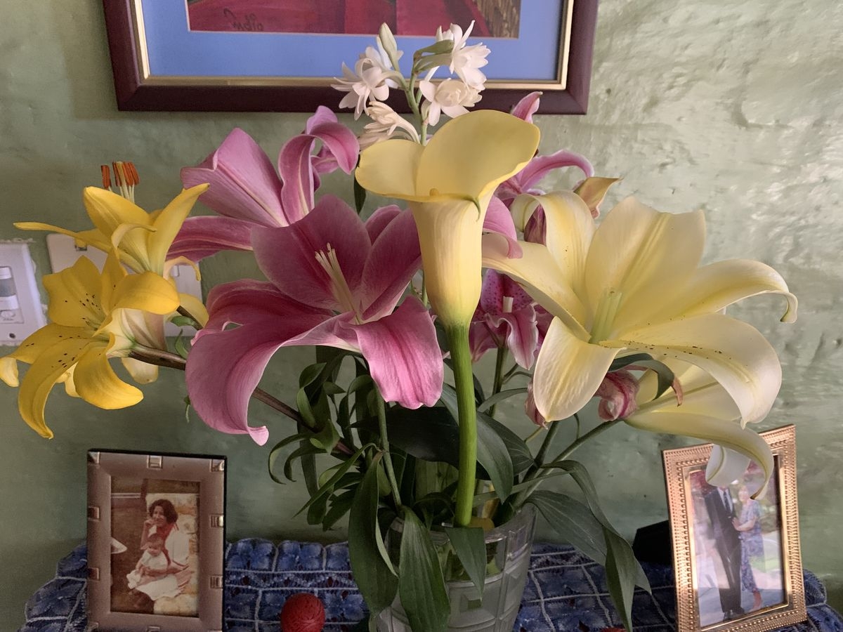 Tử vi vòng quay công nghệ ngày 29/9/2025: Tuổi Dần lên như diều gặp gió, tuổi Tỵ dễ bị soi mói Tử vi vòng quay công nghệ ngày 29/9/2025: Tuổi Dần lên như diều gặp gió, tuổi Tỵ dễ bị soi mói