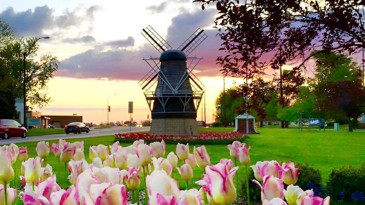 Tử vi vòng quay công nghệ ngày 30/9/2025: Tuổi Tuất có điềm báo mâu thuẫn, tuổi Tý nhiều khởi sắc Tử vi vòng quay công nghệ ngày 30/9/2025: Tuổi Tuất có điềm báo mâu thuẫn, tuổi Tý nhiều khởi sắc