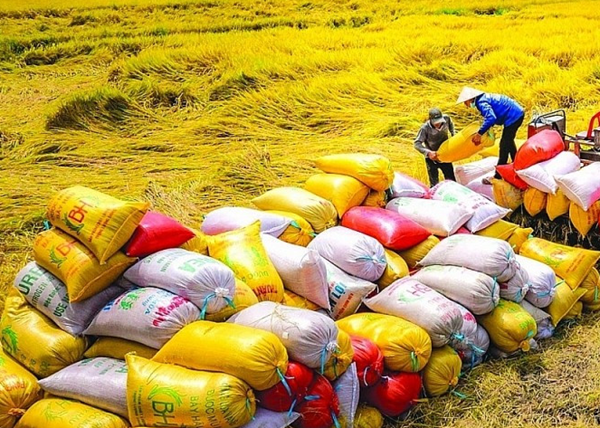 Hàng dự trữ quốc gia được nhập và xuất như thế nào? Hàng dự trữ quốc gia được nhập và xuất như thế nào?