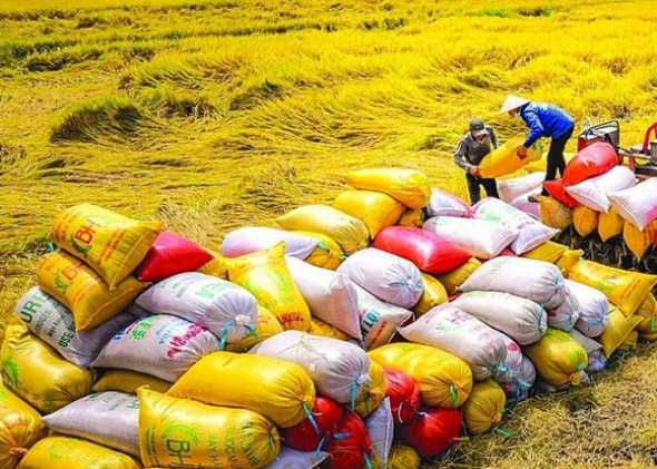 Hàng dự trữ quốc gia được nhập và xuất như thế nào?