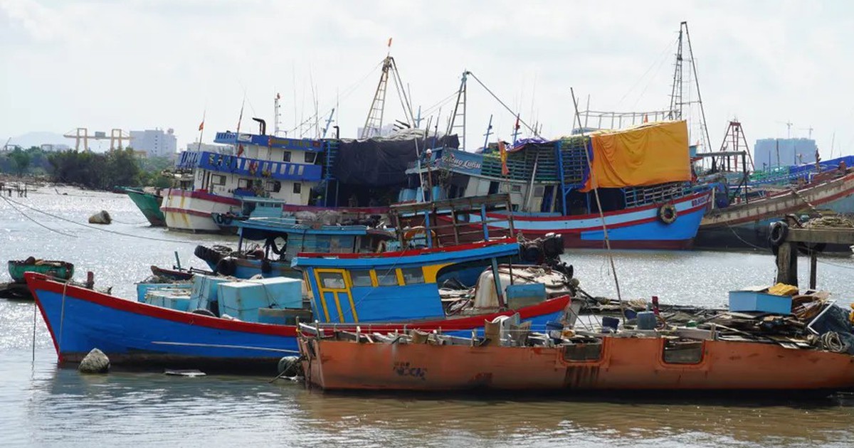 Quản lý chặt tàu thuyền, chủ động ứng phó áp thấp nhiệt đới trên biển