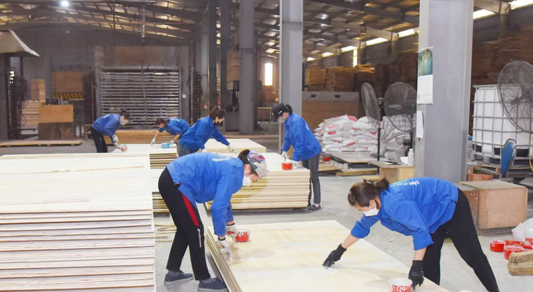 Thái Nguyên phát triển rừng trồng theo hướng nâng cao giá trị