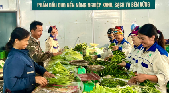 Sản xuất nông nghiệp an toàn, giảm tác động đến môi trường tự nhiên