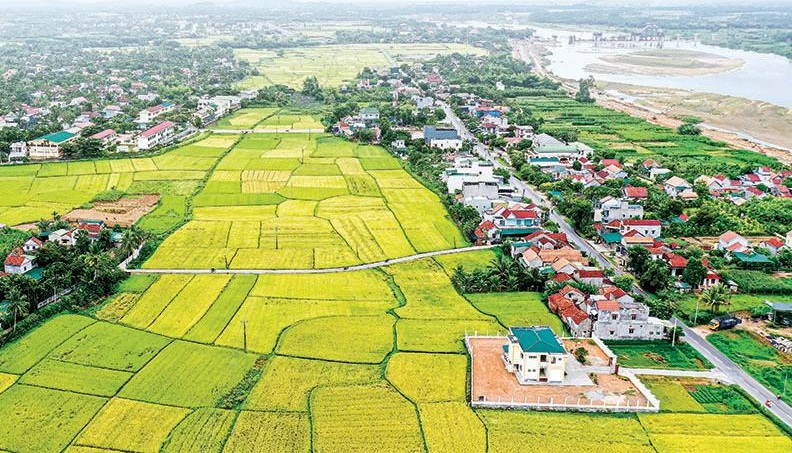 Tập trung nguồn lực, đẩy nhanh tiến độ hoàn thành cơ sở dữ liệu quốc gia về đất đai