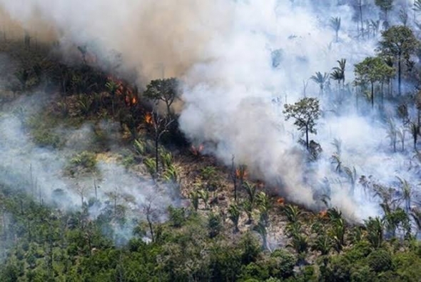 Indonesia xem xét tăng chế tài với hành vi gây cháy rừng