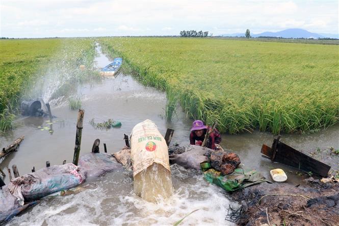 Ứng phó nguy cơ ngập úng do lũ kết hợp triều cường dâng cao