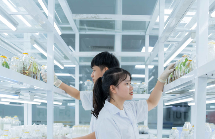 Khẩn trương rà soát, xử lý những tồn tại, hạn chế trong phát triển thị trường khoa học – công nghệ