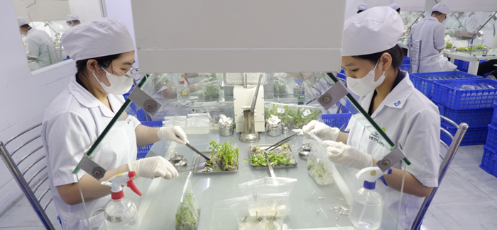 Khẩn trương rà soát, xử lý những tồn tại, hạn chế trong phát triển thị trường khoa học – công nghệ Khẩn trương rà soát, xử lý những tồn tại, hạn chế trong phát triển thị trường khoa học – công nghệ