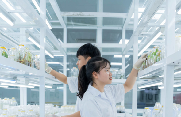 Khẩn trương rà soát, xử lý những tồn tại, hạn chế trong phát triển thị trường khoa học – công nghệ
