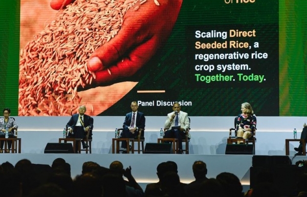 Khẩn trương chuyển đổi hệ thống lúa gạo theo hướng đa dạng, bền vững, thân thiện môi trường Khẩn trương chuyển đổi hệ thống lúa gạo theo hướng đa dạng, bền vững, thân thiện môi trường