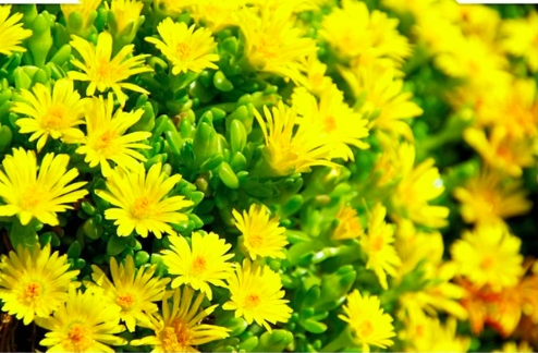 Tử vi vòng quay công nghệ ngày 01/10/2024: Vận trình tuổi Hợi kém sắc, tuổi Thân hao tài Tử vi vòng quay công nghệ ngày 01/10/2024: Vận trình tuổi Hợi kém sắc, tuổi Thân hao tài