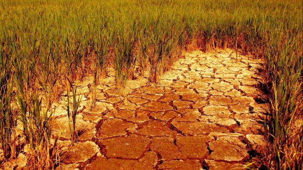 Hạn hán, lũ lụt nối tiếp nhau, Đông Nam Á đối mặt nguy cơ mất an ninh lương thực