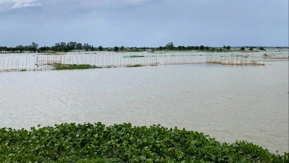 Nước về sông Cửu Long tăng 10-20%, đỉnh lũ xuất hiện giữa tháng 10