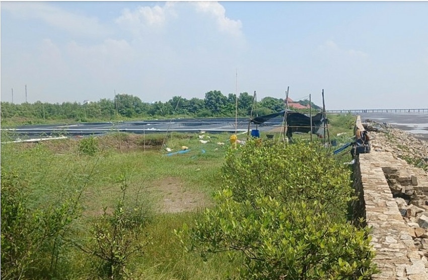 Điểm tin xây dựng - bất động sản ngày 9/10: Thị trường Hà Nội sôi động với loạt dự án mới Điểm tin xây dựng - bất động sản ngày 9/10: Thị trường Hà Nội sôi động với loạt dự án mới