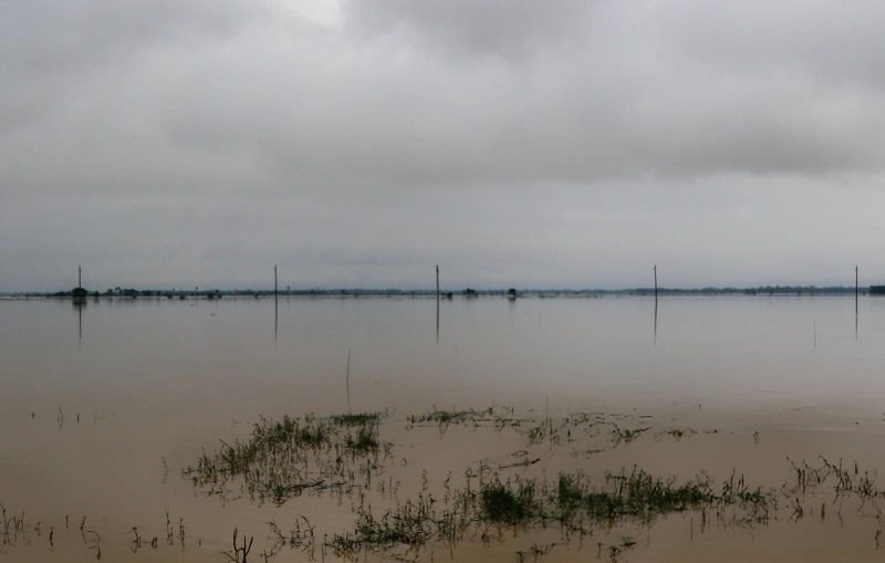 Lũ lụt khiến Bangladesh mất 1,1 triệu tấn gạo, thiệt hại hàng trăm triệu USD