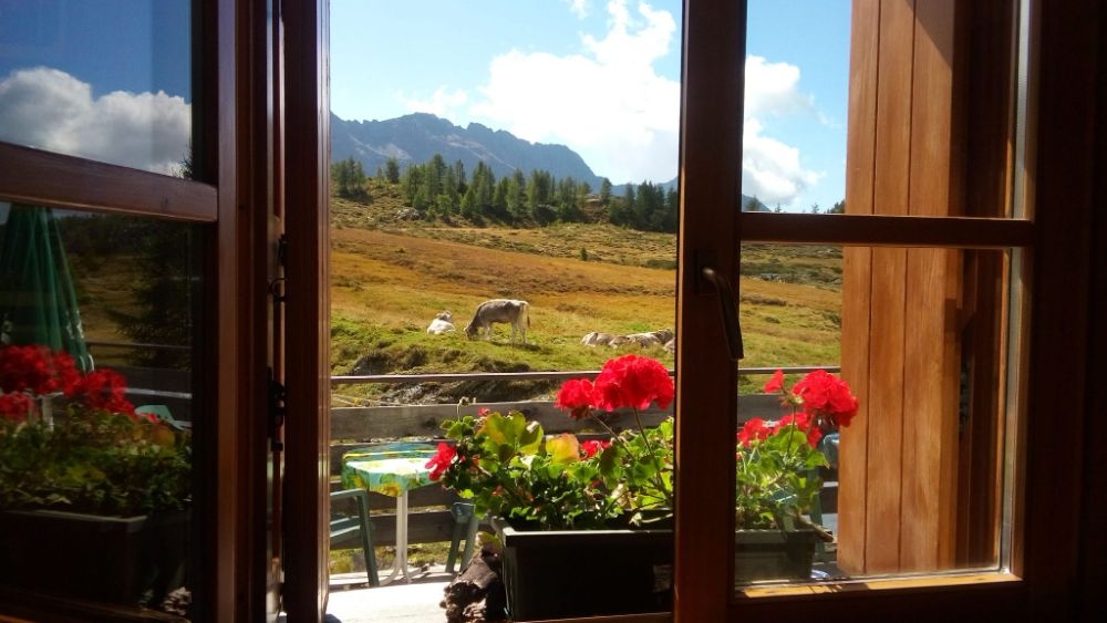 Tử vi vòng quay công nghệ ngày 3/10/2025: Tuổi Tý gặp thị phi, tuổi Mão khởi sắc Tử vi vòng quay công nghệ ngày 3/10/2025: Tuổi Tý gặp thị phi, tuổi Mão khởi sắc