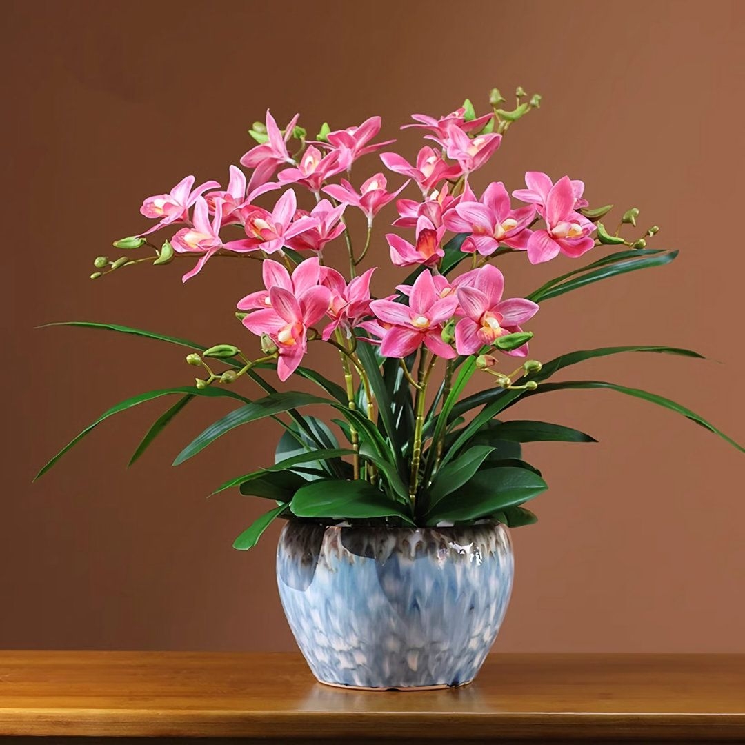 Tử vi vòng quay công nghệ ngày 4/10/2025: Tuổi Sửu nhiều rắc rối, tuổi Tuất giải quyết thuận lợi Tử vi vòng quay công nghệ ngày 4/10/2025: Tuổi Sửu nhiều rắc rối, tuổi Tuất giải quyết thuận lợi