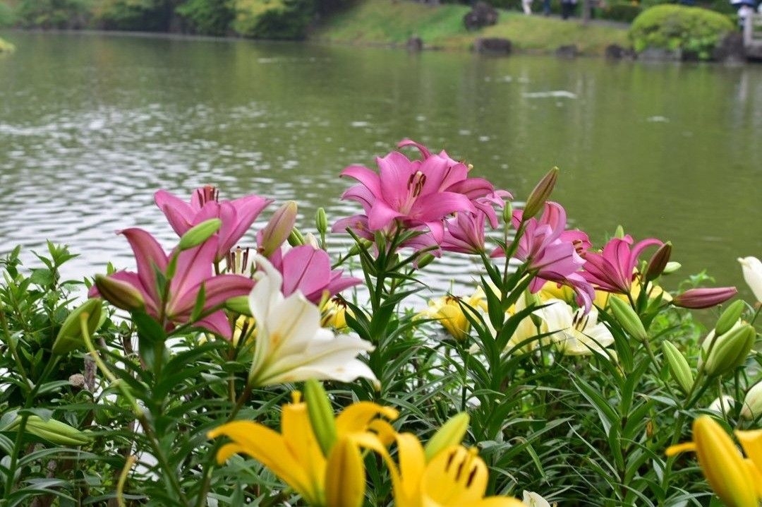 Tử vi vòng quay công nghệ ngày 5/10/2025: Tuổi Dần khá thuận lợi, tuổi Sửu tình cảm khó khăn Tử vi vòng quay công nghệ ngày 5/10/2025: Tuổi Dần khá thuận lợi, tuổi Sửu tình cảm khó khăn