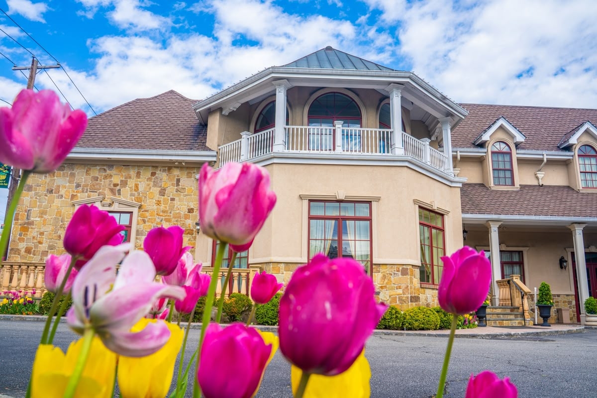 Tử vi vòng quay công nghệ ngày 5/10/2025: Tuổi Dần khá thuận lợi, tuổi Sửu tình cảm khó khăn Tử vi vòng quay công nghệ ngày 5/10/2025: Tuổi Dần khá thuận lợi, tuổi Sửu tình cảm khó khăn