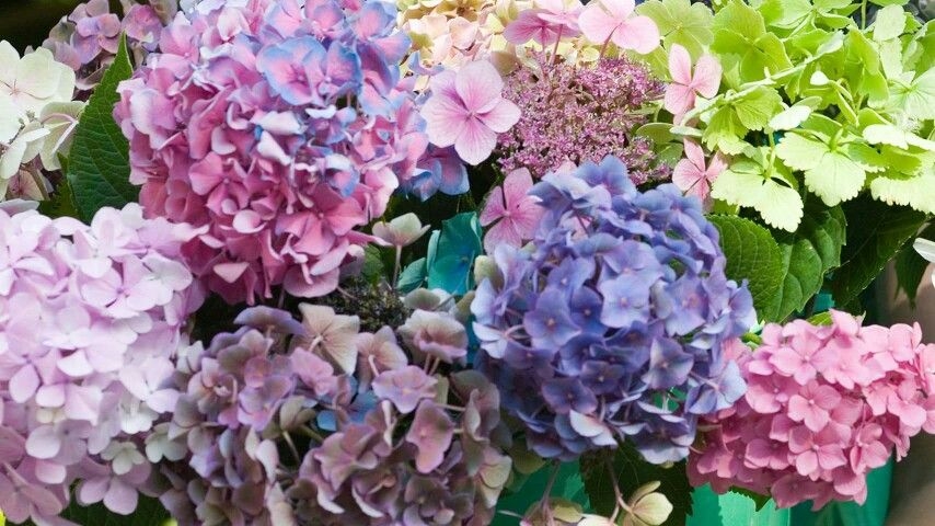 Tử vi vòng quay công nghệ ngày 6/10/2025: Tuổi Dần dễ dàng nổi nóng, Tuổi Thìn Tam Hợp trợ vận Tử vi vòng quay công nghệ ngày 6/10/2025: Tuổi Dần dễ dàng nổi nóng, Tuổi Thìn Tam Hợp trợ vận