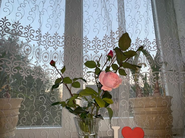 Tử vi vòng quay công nghệ ngày 7/10/2025: Tuổi Thìn hay gặp may, tuổi Ngọ mất tiền Tử vi vòng quay công nghệ ngày 7/10/2025: Tuổi Thìn hay gặp may, tuổi Ngọ mất tiền