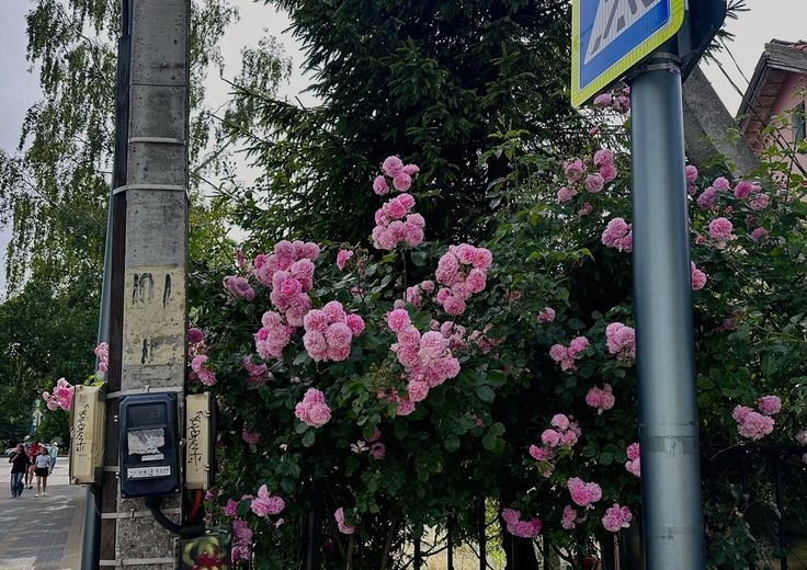 Tử vi vòng quay công nghệ ngày 7/10/2025: Tuổi Thìn hay gặp may, tuổi Ngọ mất tiền Tử vi vòng quay công nghệ ngày 7/10/2025: Tuổi Thìn hay gặp may, tuổi Ngọ mất tiền