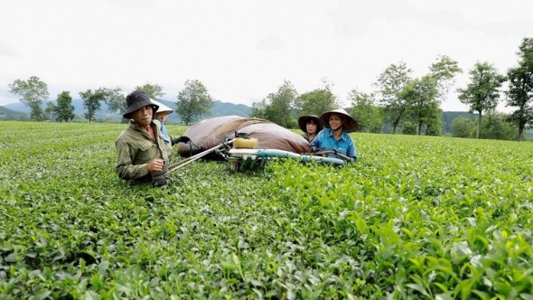 Phú Thọ thúc đẩy chuyển đổi số trong sản xuất nông nghiệp